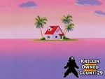 Krillin Owned Count 29
