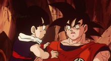 Gohan and injured Goku