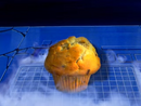 A blueberry muffin generated from the Muffin Button.