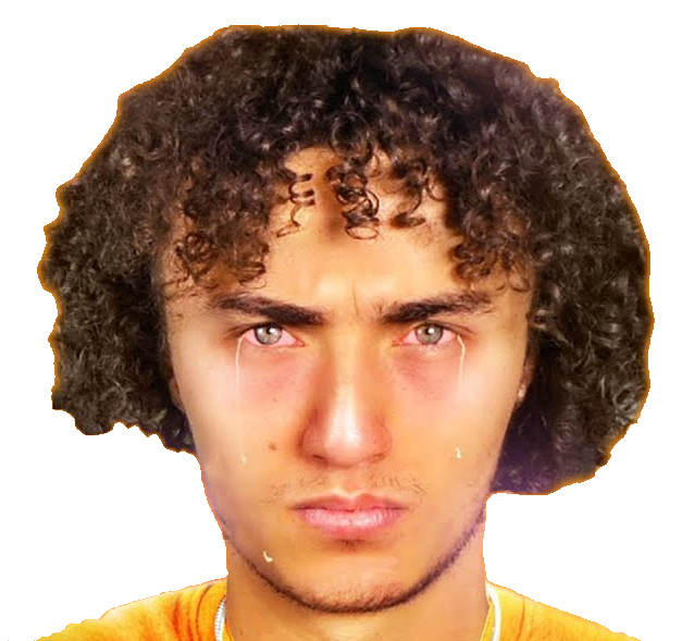 Kwebbelkop Robust Wiki Fandom