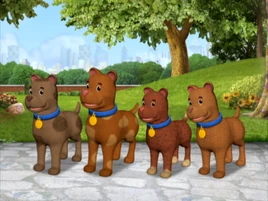 How many dogs are there
