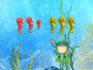 6 seahorses