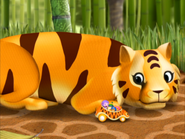 Tiger | Team Umizoomi Wiki | Fandom