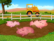 Pigs at the farm