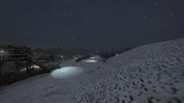 Snowy Night