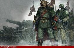 Wolf-Soldier.jpg