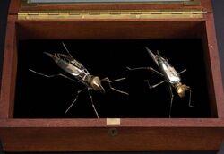 Spy-flies2.jpg