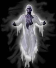 Caal are actually invisible, but you get the idea