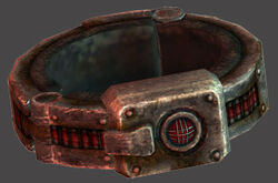ControlCollar.jpg
