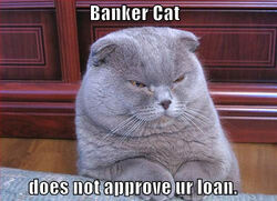 Banker-cat-does-not-approve-your-loan.jpg