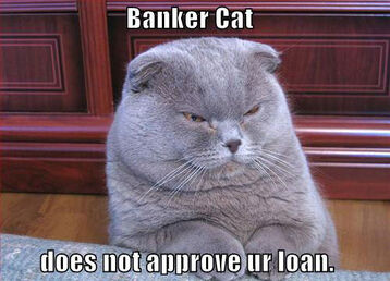 Banker-cat-does-not-approve-your-loan