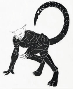 Armor-knes.jpg