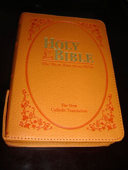 Orange-catholic-bible.jpg