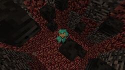  Comment_to_break_bedrock_with_wither_skulls_ (new_way!)_1.7.9