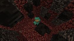 Cum_to_break_bedrock_with_wither_skulls_ (cale nouă!)_1.7.9