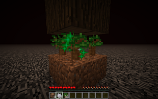 Alberi in crescita sul tetto del Nether