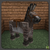 Zonkey.png