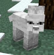 Artic Fox