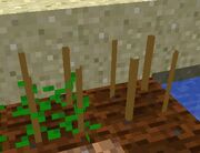 2CropBlocks