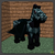 Bat Horse.png
