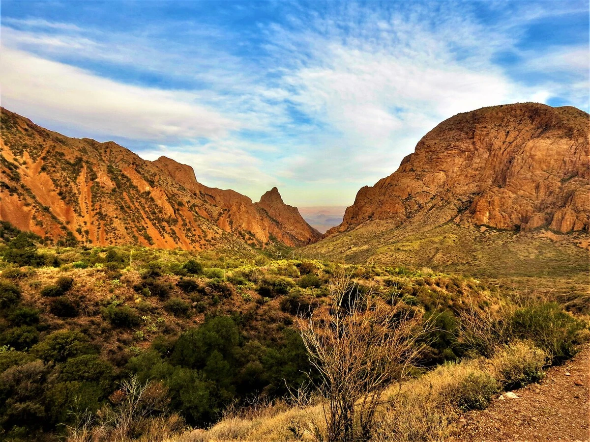 The Window | Technotronic Legacy Wiki | Fandom