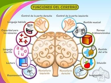 Categoría:Mapas Mentales | Wikia Técnicas de estudio | Fandom