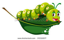 Stock-vector-cute-caterpillar-chewing-green-leaf-illustration-572319577.jpg