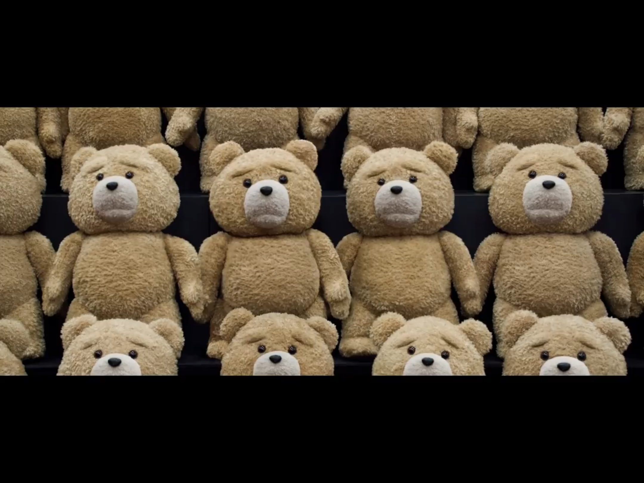 Ted cheap bear 3