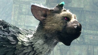 Trico💜💙💜, Wiki