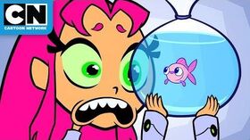 Teen_Titans_GO!_Starfire’s_New_Pet_Cartoon_Network