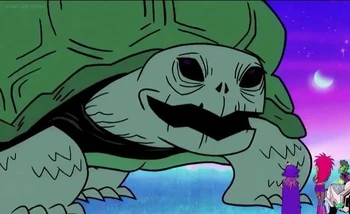 Turtle | Teen Titans Go! Wiki | Fandom