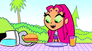 and Turkeyburger for Starfire.