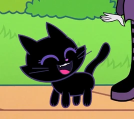 Black Cat Profile