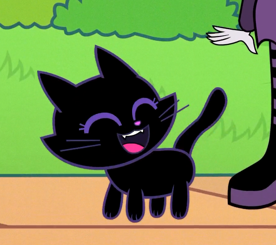 Black Cat | Teen Titans Go! Wiki | Fandom