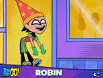 Ttg robin3 1024x768