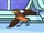 Super Robin (bird)