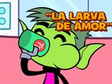 La Larva de Amor