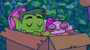 Silkie tries to sleep in Beast Boy's room.