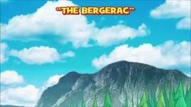 The bergerac