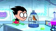 The Robin Picture.png (54 KB) Robin prepares to remove the robin to fuse his DNA with it