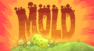 Mold