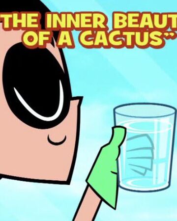 The Inner Beauty Of A Cactus Teen Titans Go Wiki Fandom Watch and download teen titans free cartoons online on kiss cartoon. a cactus teen titans go wiki fandom