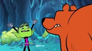 A lame roar emitted by Beast Boy does not impress grizzly Bear.