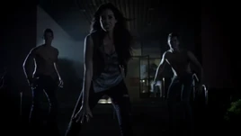 3x10 alpha pack