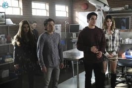 6x15 McCall pack
