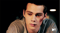 Buzo de stiles discount stilinski