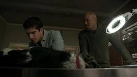 5x02 Scott and Deaton
