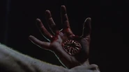 5x05 Donovan's hand.jpg (21 KB)