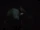 Stiles' Wrench.gif