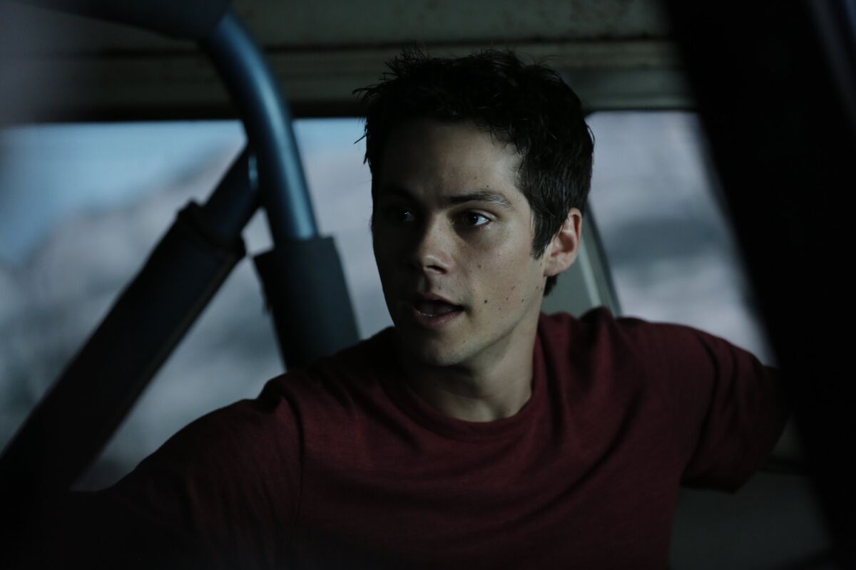 Offline☽ Stiles Stilinski [2] - 1.8